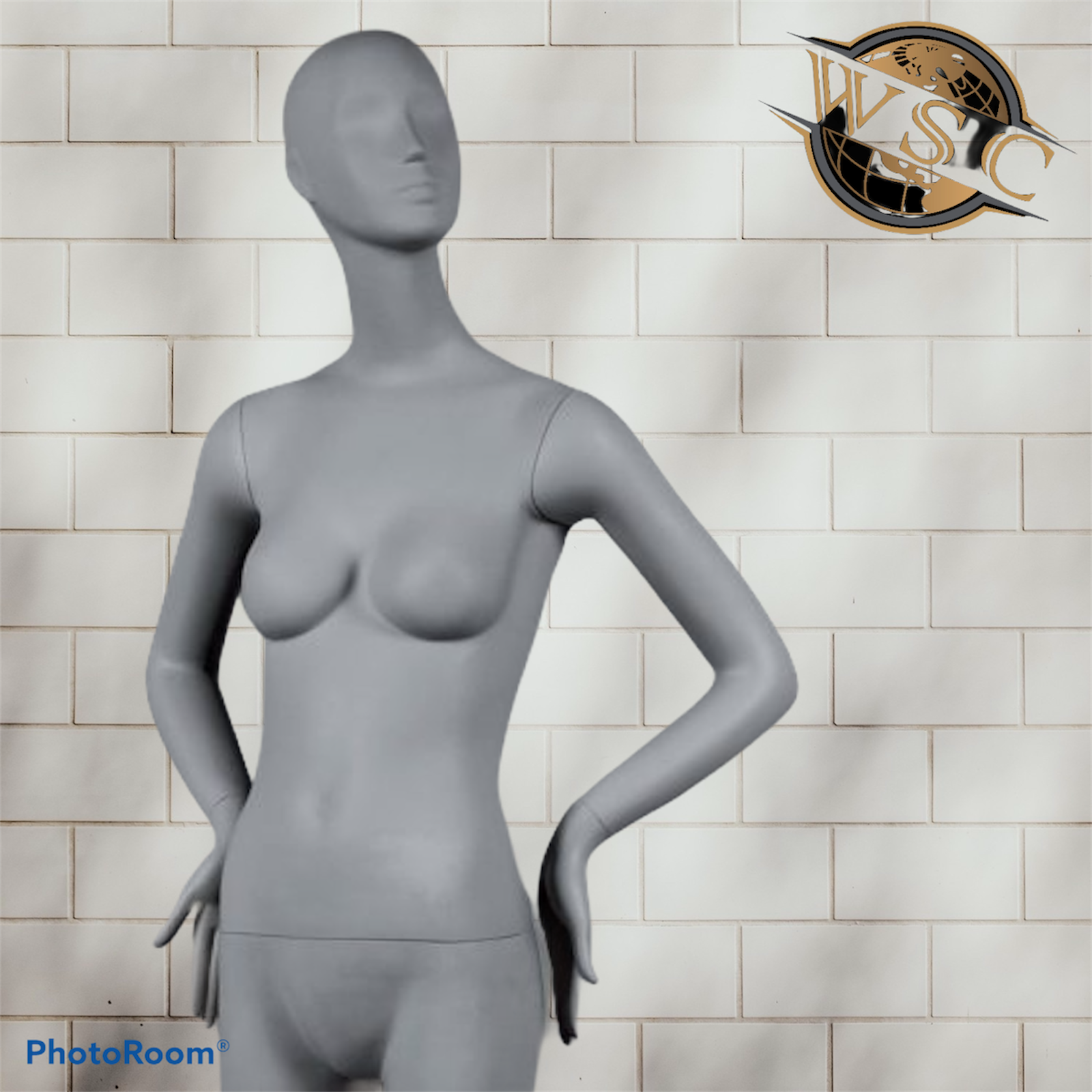 img_27291_20694.png